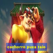 cachorro puxa raio